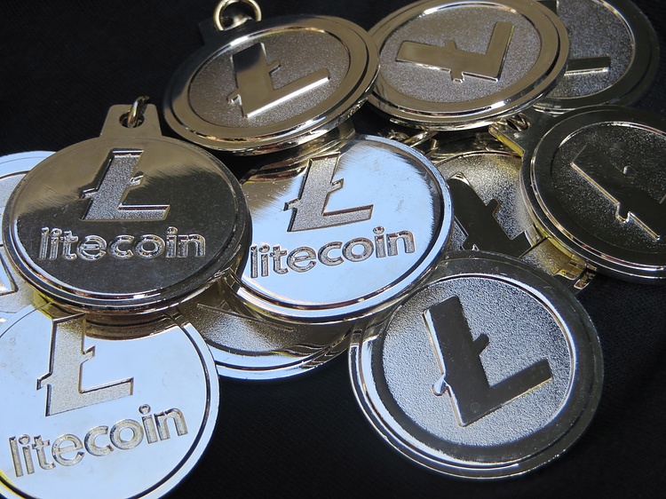 Litecoin price in may btc and bch wallet